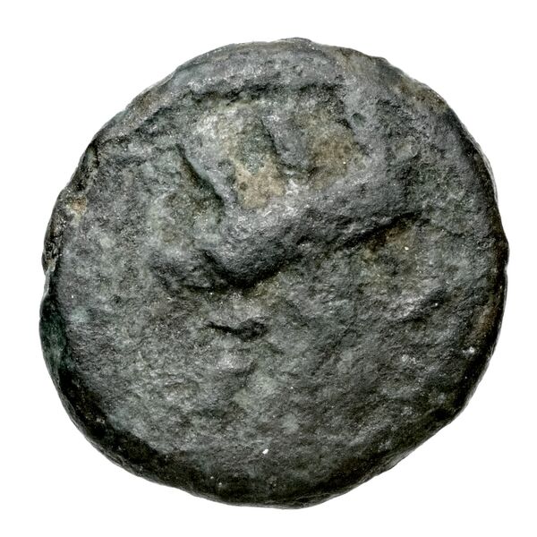 Aradus Duyrat 2005 2495-2572, аверс, bnf-iris