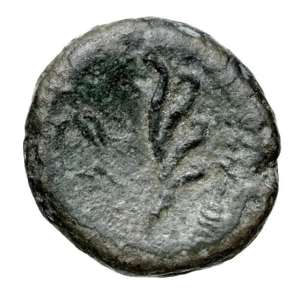 Aradus Duyrat 2005 2495-2572, реверс, bnf-iris