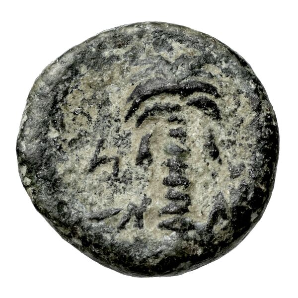 Aradus Duyrat 2005 1630-1642, реверс, bnf-iris