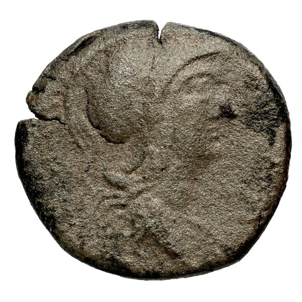 Seleuceia ad Calycadnum SNG Levante 716, аверс, BnF (IRIS)