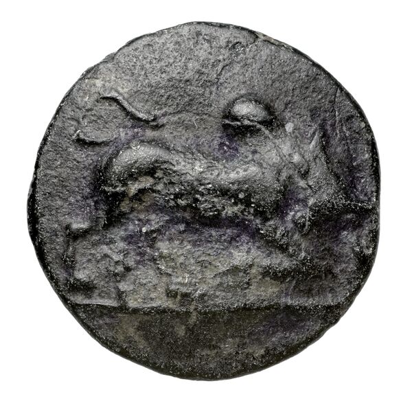Sagalassus BMC Sagalassus 5, аверс, BnF (IRIS)