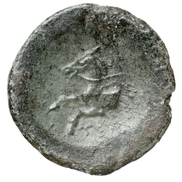 Termessus BMC Termessus Major 17-23, реверс, bnf-iris