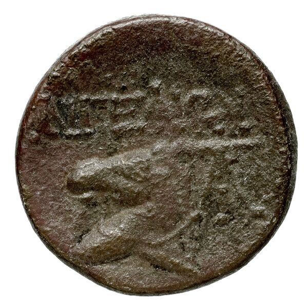 Aegeae Bloesch 1982 Period 3.20-61, реверс, BnF (IRIS)
