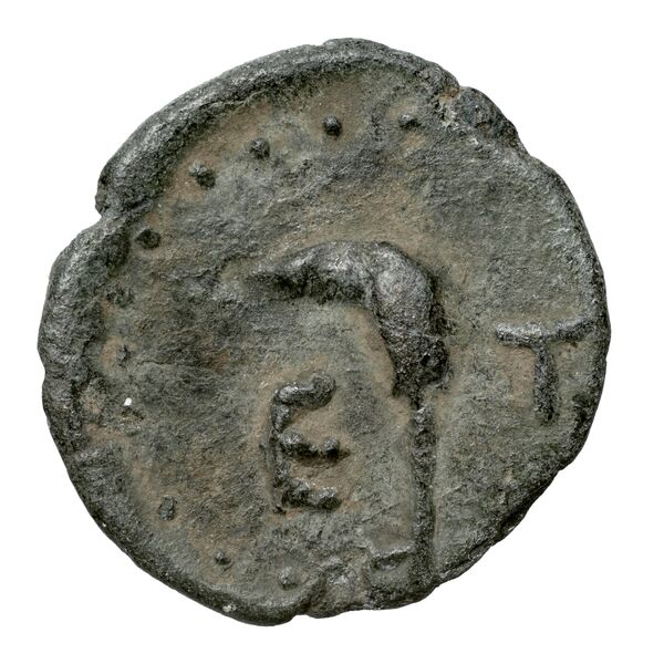 реверс Etenna von Aulock 1979 516-528