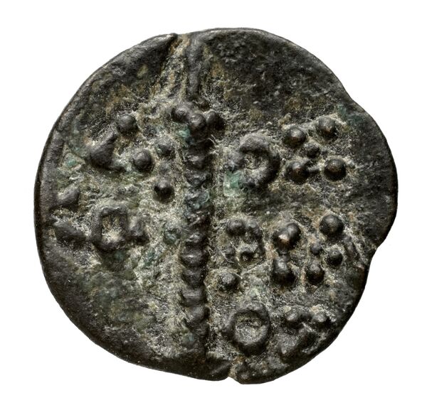 Dioscurias SNG BM Black Sea 1993 1021-3, реверс, BnF (IRIS)