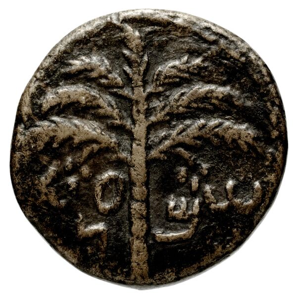 Simon bar Kokhba Judaea Hendin 2010 1437, аверс, BnF (IRIS)