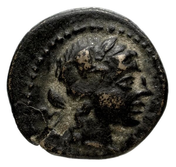Neapolis ad Harpasum Delrieux 2008 NH1, аверс, BnF (IRIS)