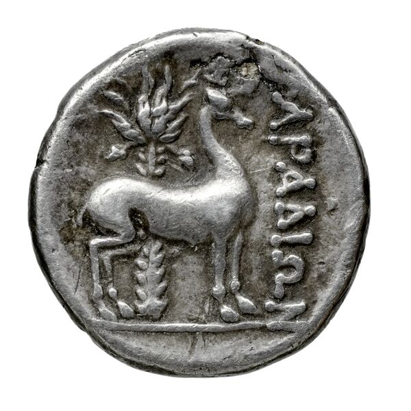 Aradus Duyrat 2005 2573-3009, реверс, bnf-iris