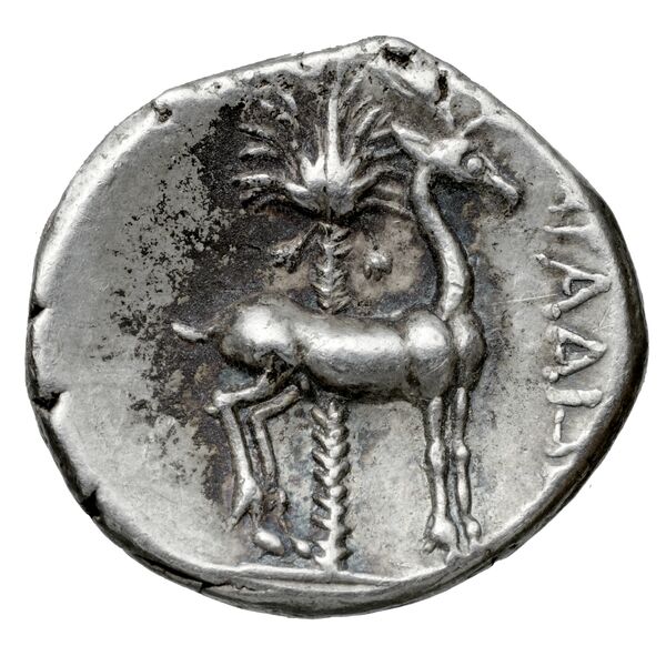 Aradus Duyrat 2005 2573-3009, реверс, bnf-iris