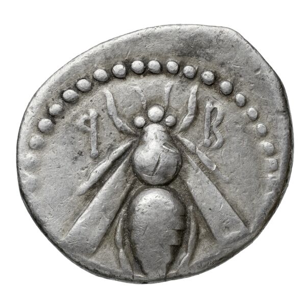 Aradus Duyrat 2005 2573-3009, аверс, bnf-iris