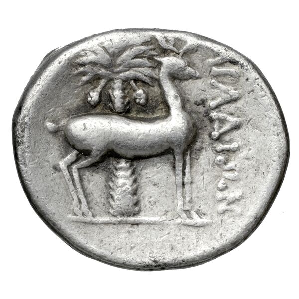 Aradus Duyrat 2005 2573-3009, реверс, bnf-iris