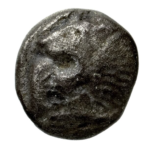 Miletus Babelon 1907 429, аверс, bnf-iris