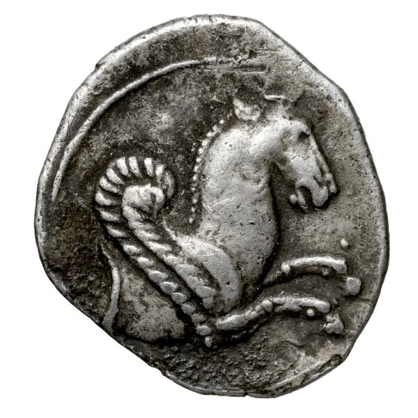Celenderis BMC Tarsus 90, реверс, bnf-iris