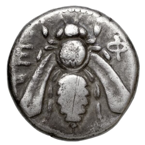 Ephesus Kinns and Holt 2023 Period I, AR VII, аверс, BnF (IRIS)
