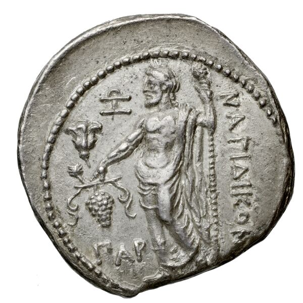 Nagidus Lederer 1932 Group IX, реверс, bnf-iris