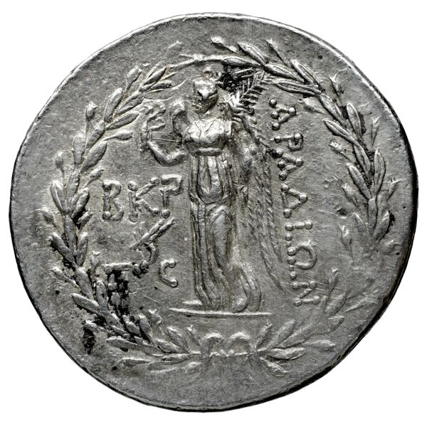 Aradus Duyrat 2005 3010-4227, реверс, bnf-iris