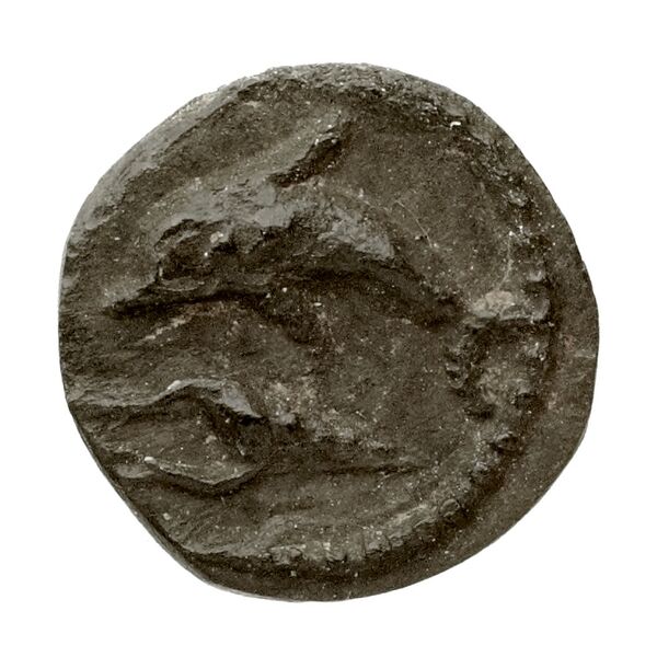 Tyre Elayi 2009 III.1.2.a-b, аверс, bnf-iris