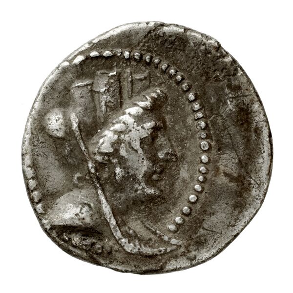 Seleuceia Pieria BMC Seleuceia in Pieria 24, аверс, bnf-iris