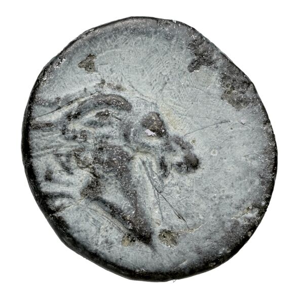 Aegae, Aeolis BMC Aegae 2, реверс, bnf-iris