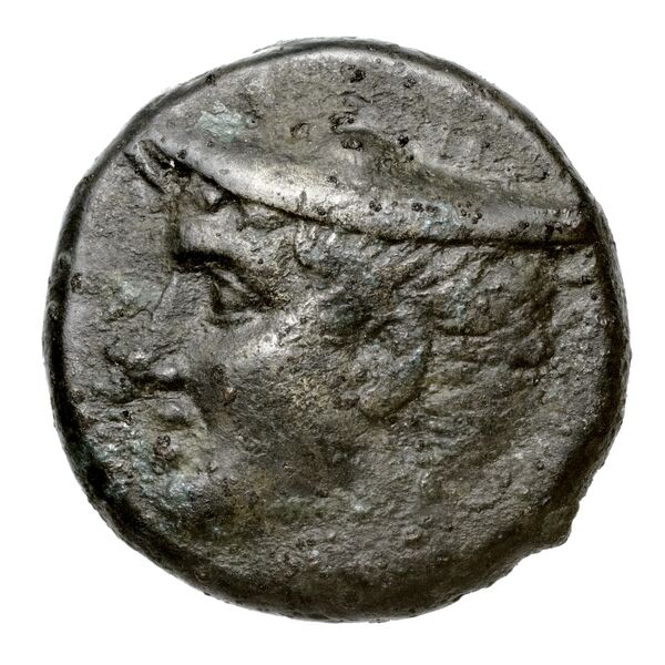 Eresus Hoover 2010 873, аверс, bnf-iris