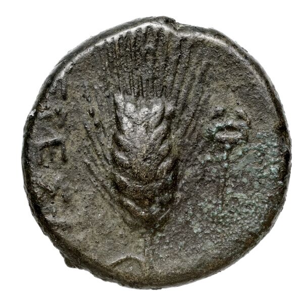 Eresus Hoover 2010 873, реверс, bnf-iris