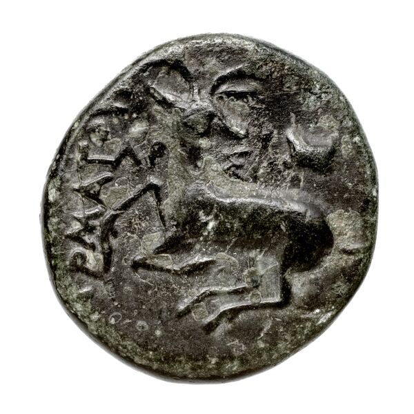 Ephesus Kinns and Holt 2023 Period IIIa, AE XI, реверс, bnf-iris