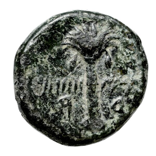 Aradus Duyrat 2005 1630-1642, реверс, bnf-iris