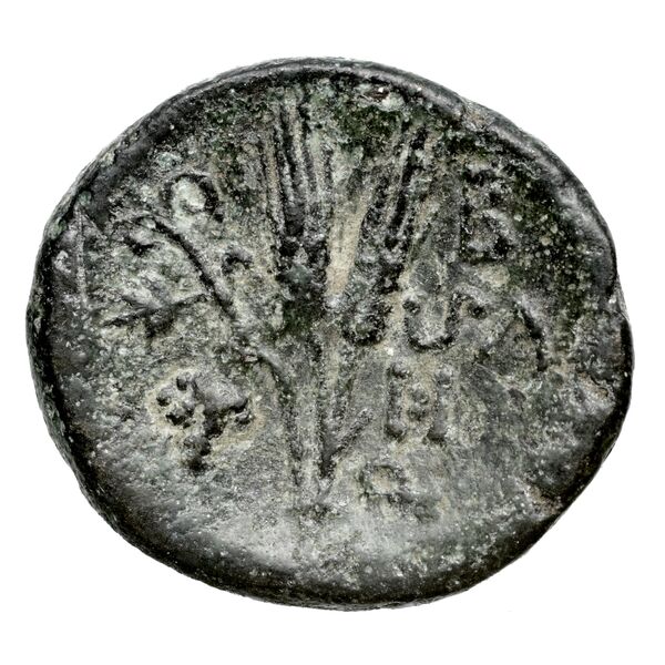 Aradus Duyrat 2005 4603-4617, реверс, bnf-iris