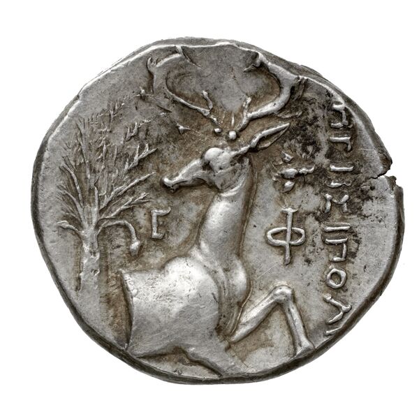 Ephesus Kinns and Holt 2023 Period II, AR XII, реверс, BnF (IRIS)