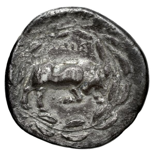 реверс Phaestus Carbone 2016 41-43