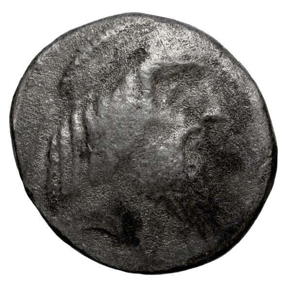 Attambelus I of Characene Charax Spasinou BMC Characene pl. 55, 10-14, аверс, BnF (IRIS)
