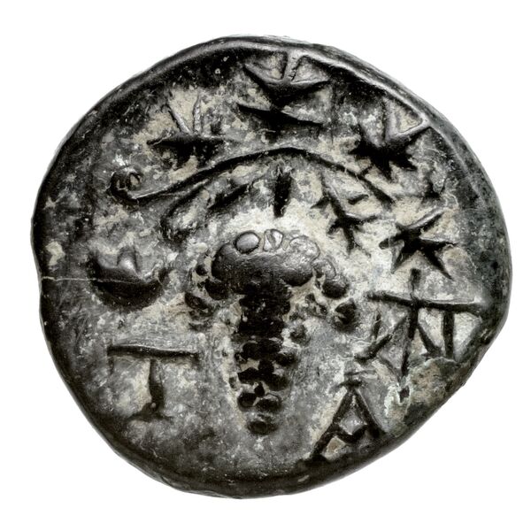 Temnus BMC Temnus 5, реверс, bnf-iris