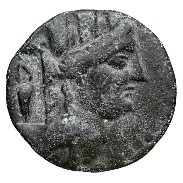 Tarsus SNG Levante 918-23, аверс, bnf-iris