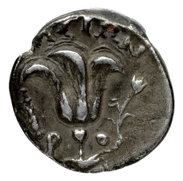 Rhodes Ashton 2001 282-302, реверс, bnf-iris