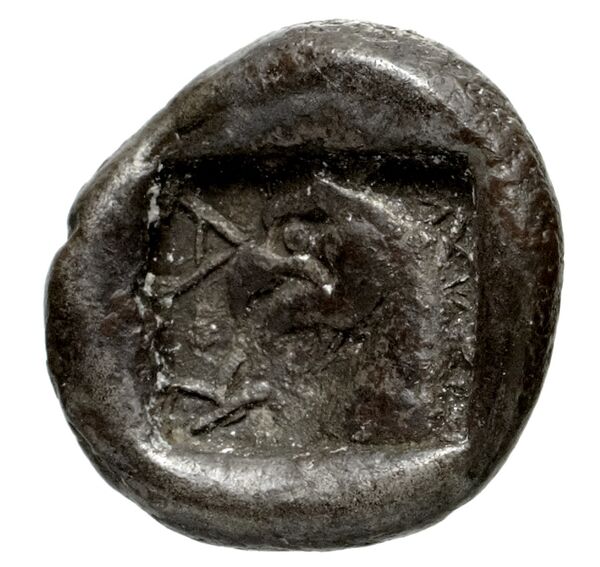 Camirus BMC Camirus 14, реверс, bnf-iris