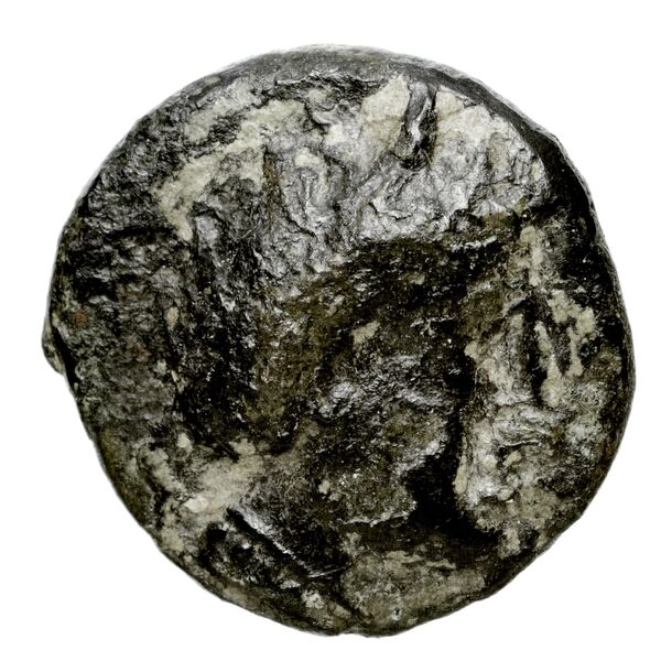 Cnossus Carrier 2017 323-579, реверс, bnf-iris
