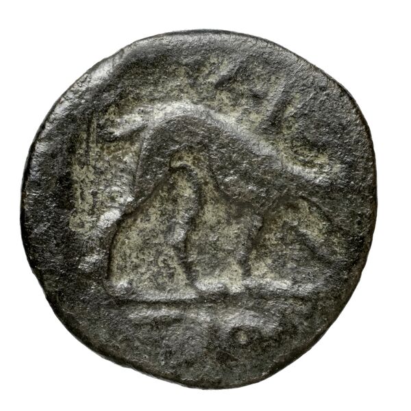 Phaestus Carbone 2016 106-109, реверс, bnf-iris
