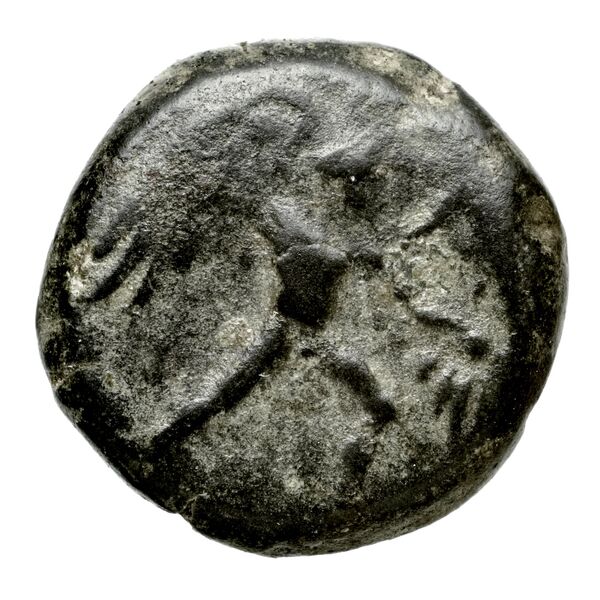 Phaestus Carbone 2016 106-109, аверс, bnf-iris