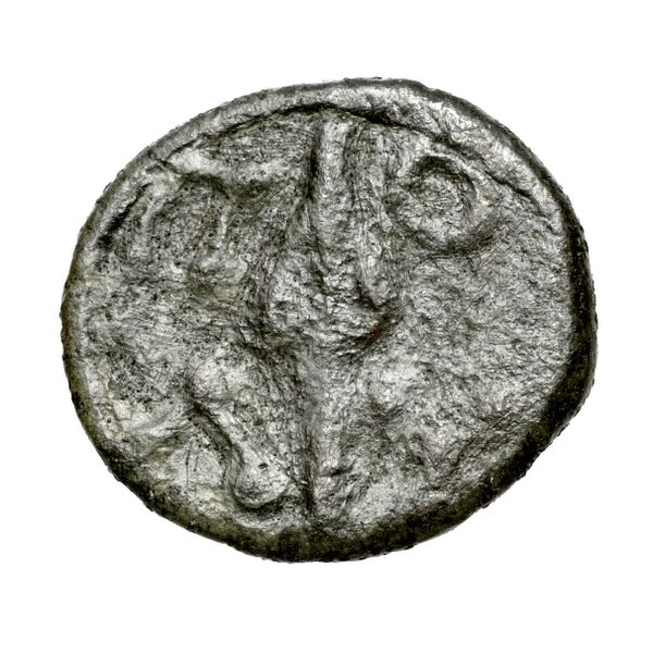 Polyrhenium Stefanakis 2013 58-101, реверс, bnf-iris