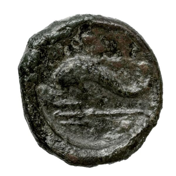 Rhaucus Svoronos 1890 (1972) 5, 36-37, реверс, BnF (IRIS)