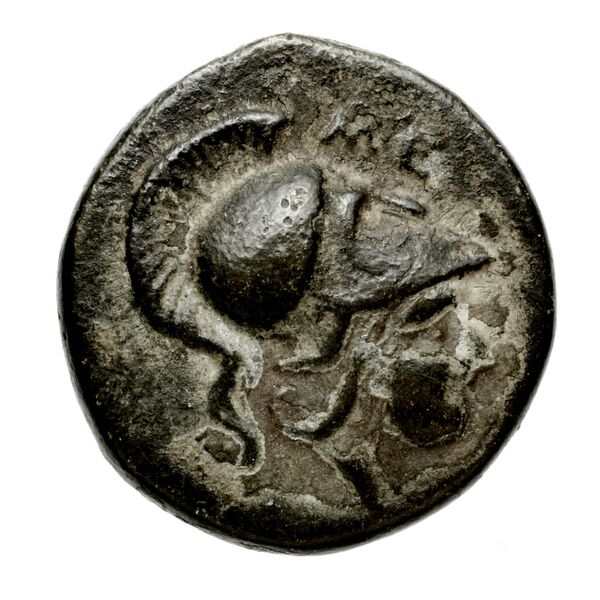 Locri Opuntii (Opus) Morineau and Delbridge 2014 Group 5-7, аверс, bnf-iris