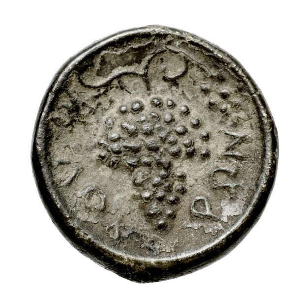 Locri Opuntii (Opus) Morineau and Delbridge 2014 Group 5-7, реверс, bnf-iris