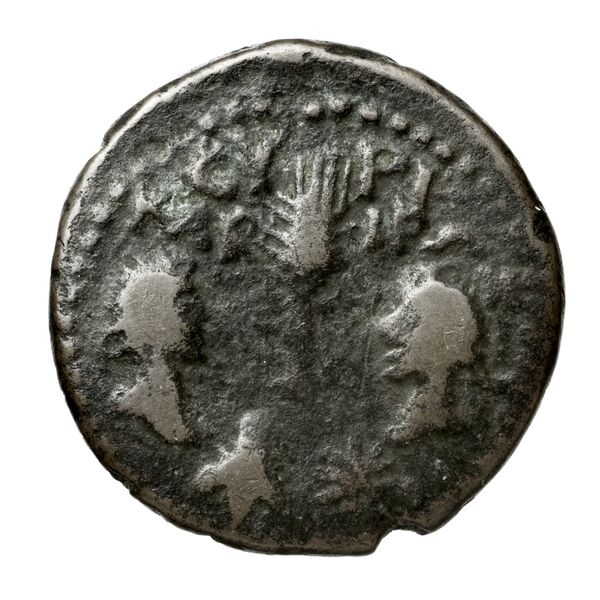 Melos BMC Melos 27-8, реверс, bnf-iris
