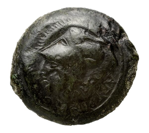 Agyrium Calciati 1987 5, аверс, bnf-iris