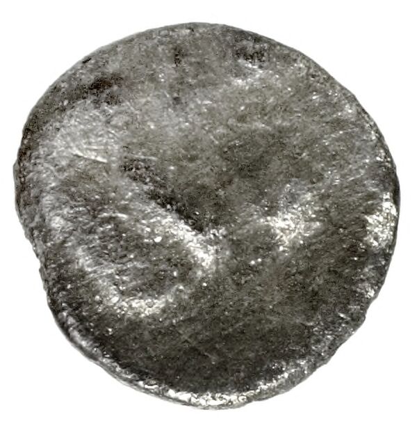 Tyre Elayi 2009 I.1.4, реверс, bnf-iris