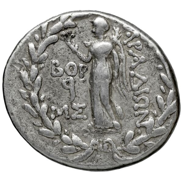 Aradus Duyrat 2005 3010-4227, реверс, bnf-iris