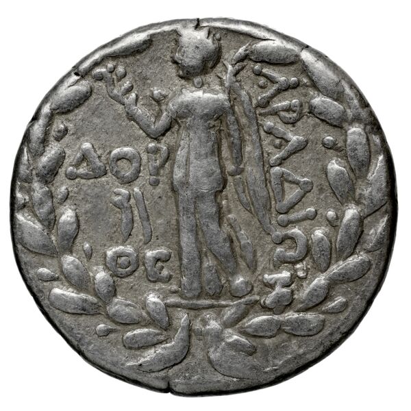 Aradus Duyrat 2005 3010-4227, реверс, bnf-iris