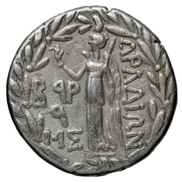 Aradus Duyrat 2005 3010-4227, реверс, bnf-iris