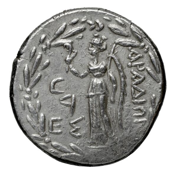 Aradus Duyrat 2005 3010-4227, реверс, bnf-iris