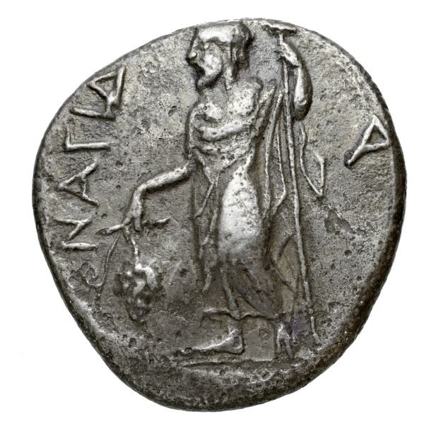 Nagidus Lederer 1932 Group V, реверс, bnf-iris
